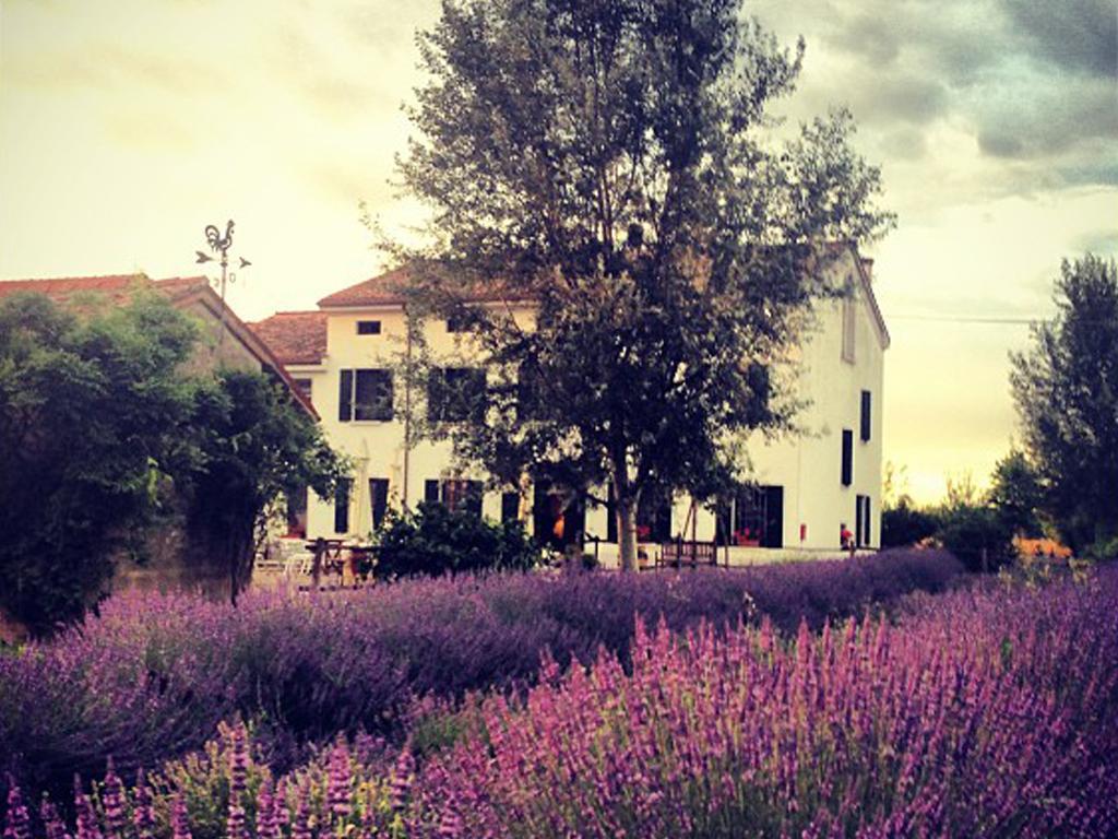 Agriturismo Viridarium Castellucchio Luaran gambar